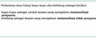 Tempo Dibedakan Menjadi Berapa Sebutkan